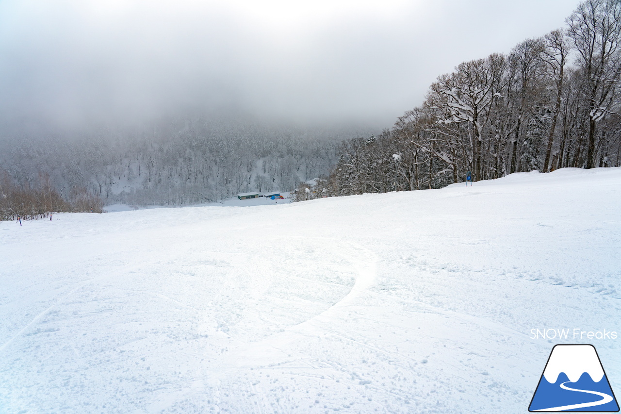 名寄ピヤシリスキー場｜名寄市のキャッチフレーズは『雪質日本一』。暖気の日こそ、その実力を発揮します！